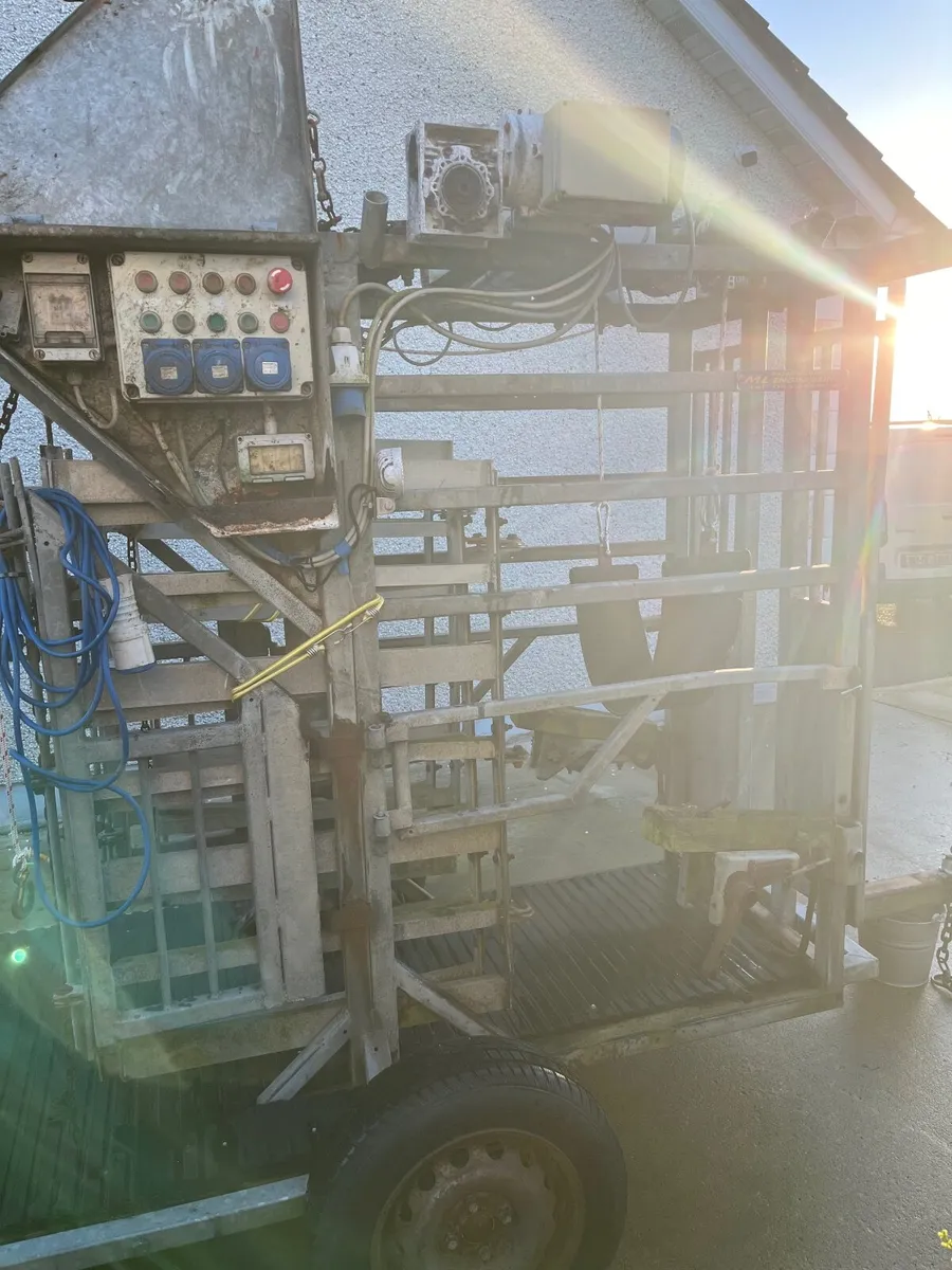 Hoof Trimming Crush For Sale - Image 2