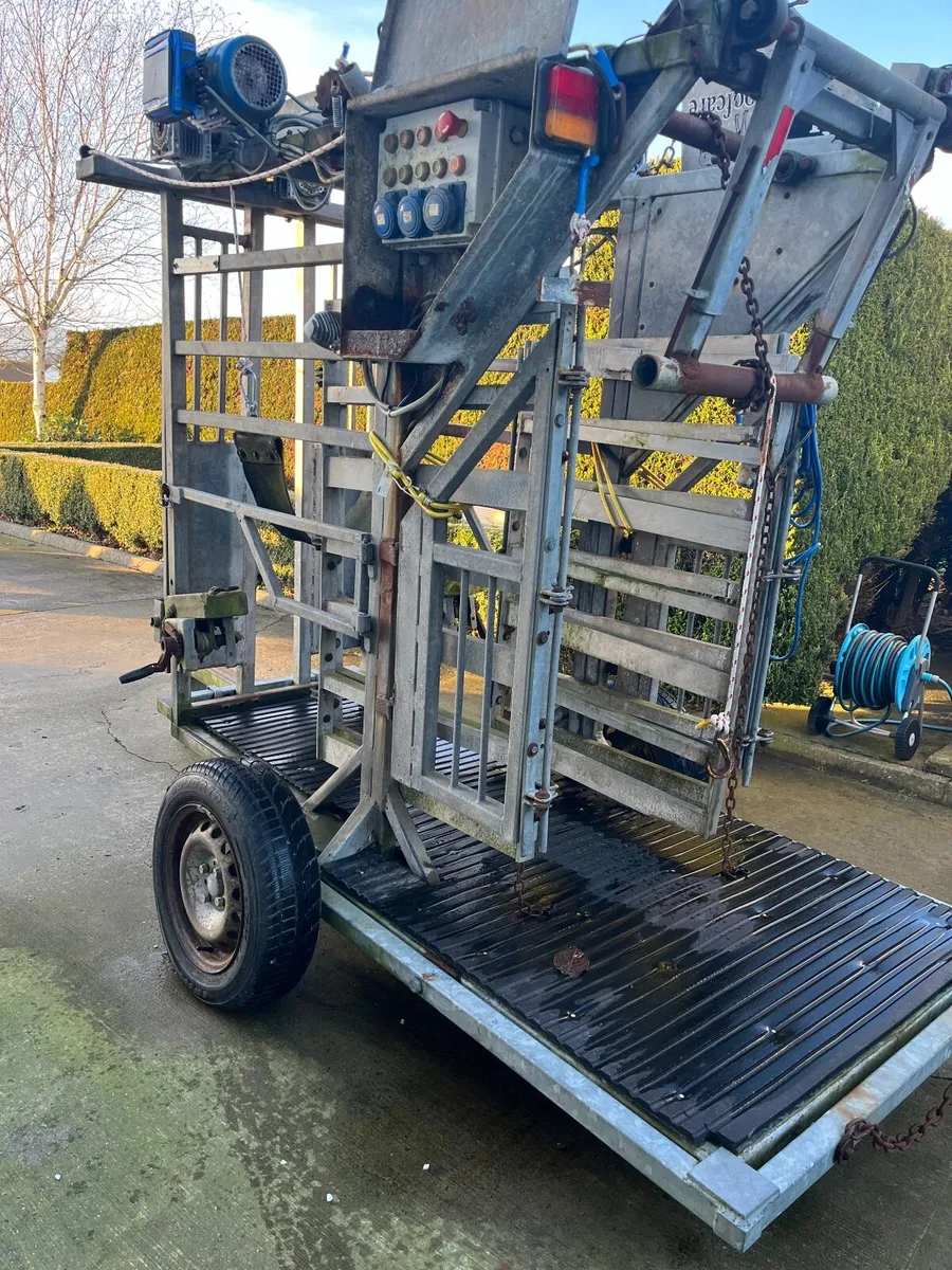 Hoof Trimming Crush For Sale - Image 4