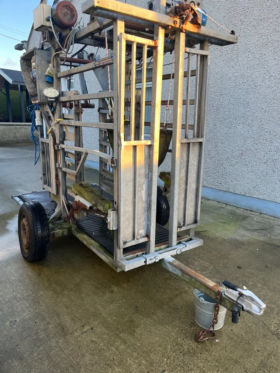 Hoof Trimming Crush For Sale - Image 1