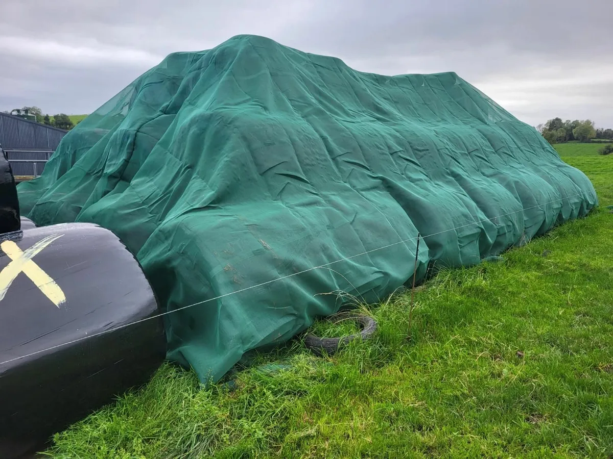 ROUND BALES / SILAGE - Image 4