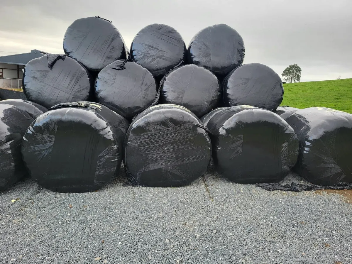 ROUND BALES / SILAGE - Image 1