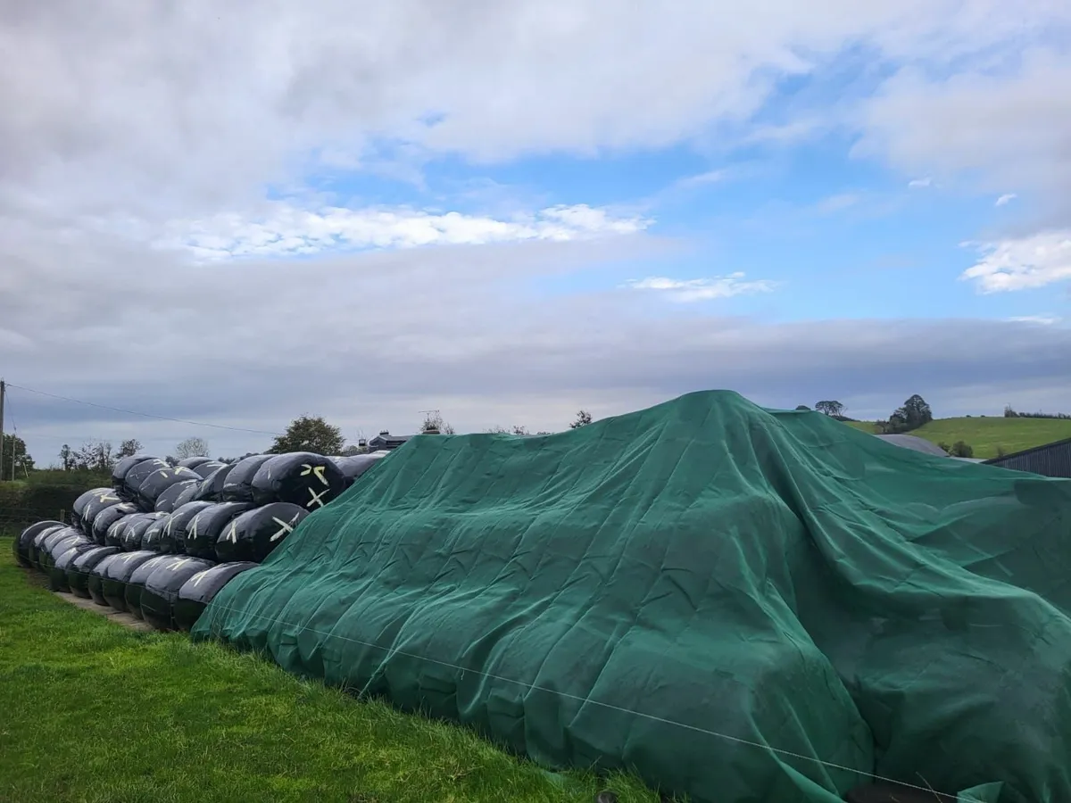 ROUND BALES / SILAGE - Image 2