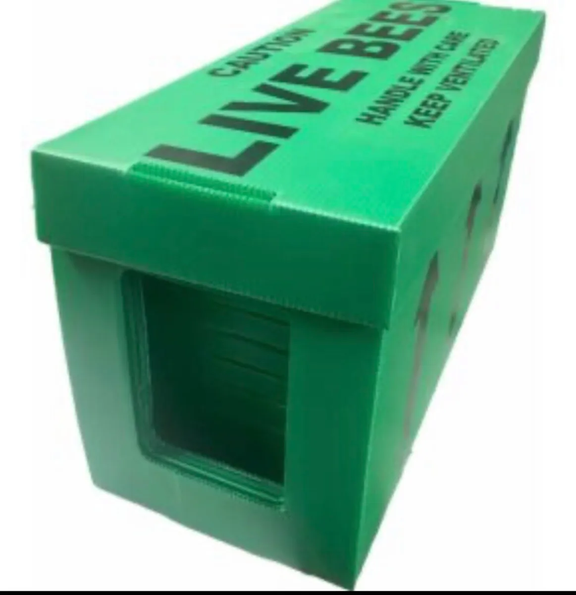 Overwintered Bees Available - Image 1