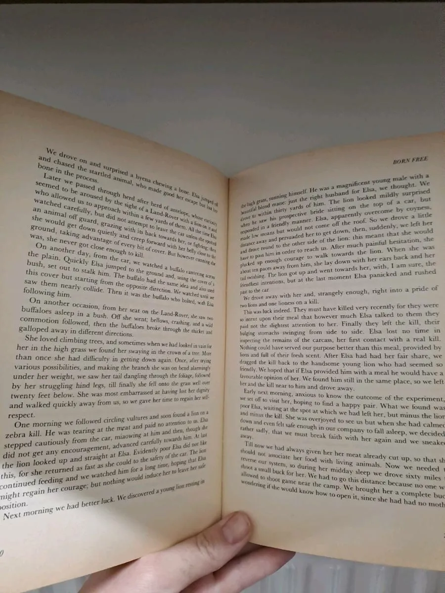 Great Stories of Men and the Animal World 1st ed - Image 3