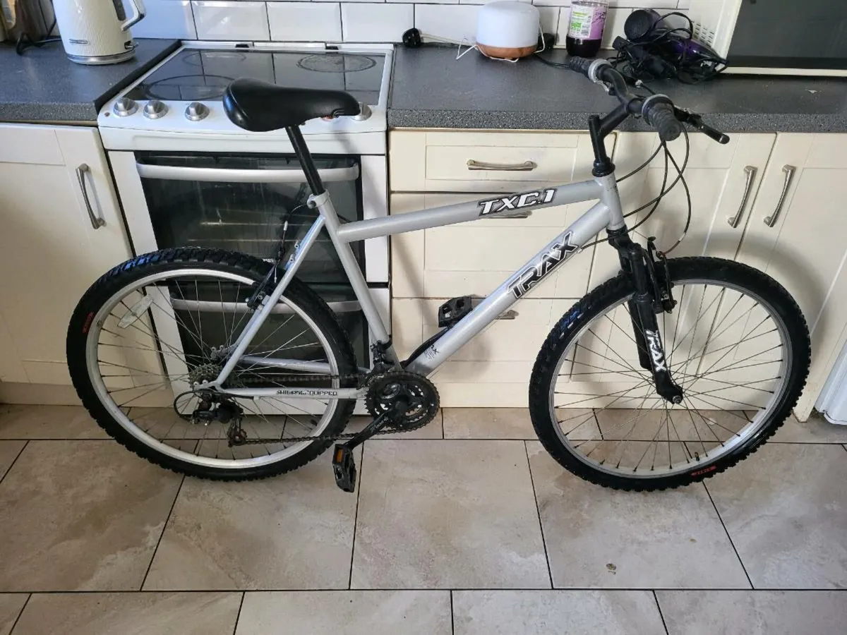 Mountain bike - Image 1