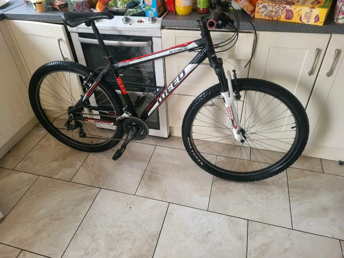 Mountain bike - Image 1