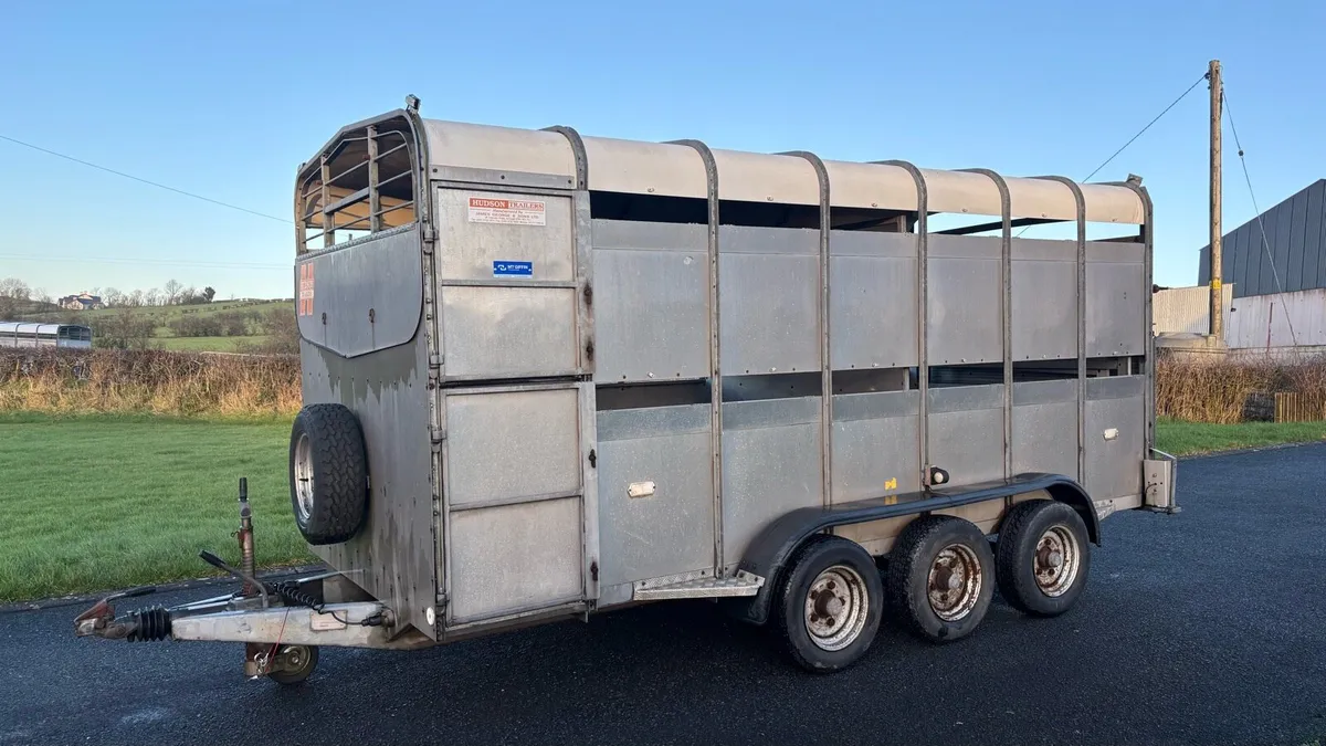Hudson (14x6) Livestock Trailer - Image 1