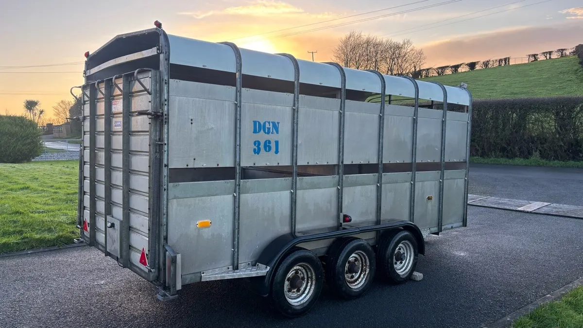 Hudson (14x6) Livestock Trailer - Image 4