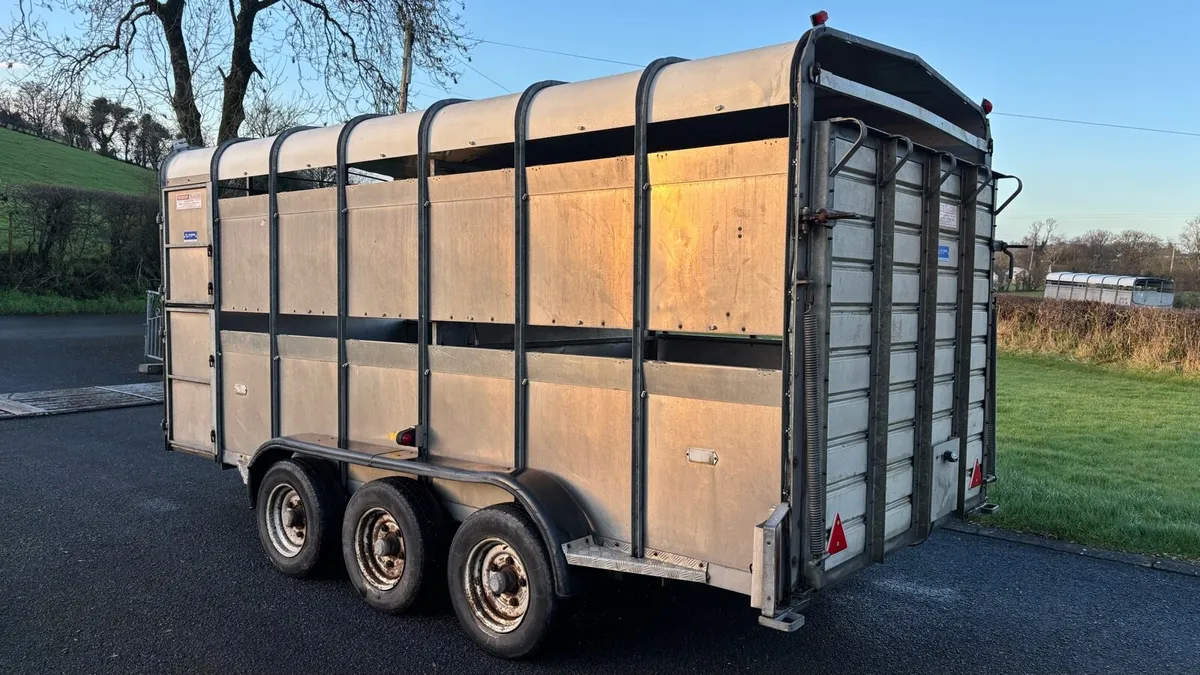 Hudson (14x6) Livestock Trailer - Image 2