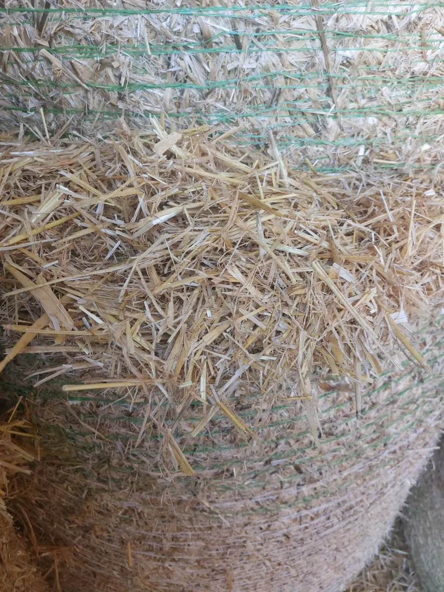Straw - Image 1