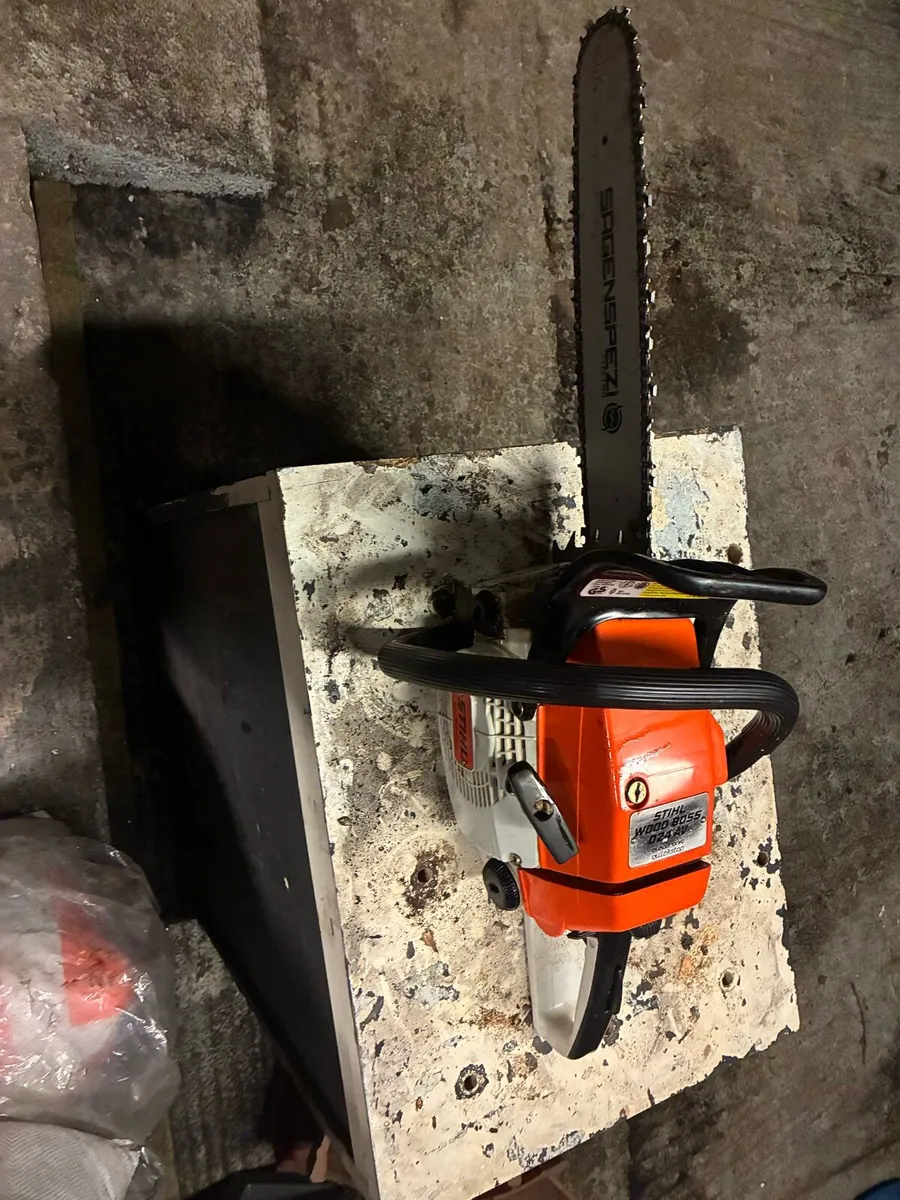 024 Stihl - Image 2