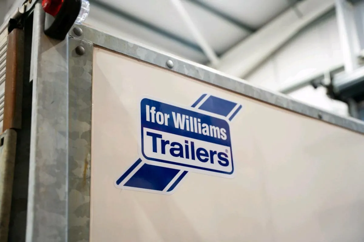 IVOR WILLIAMS 2SB BV 126G 7FT BOX VAN TRAILER - Image 2