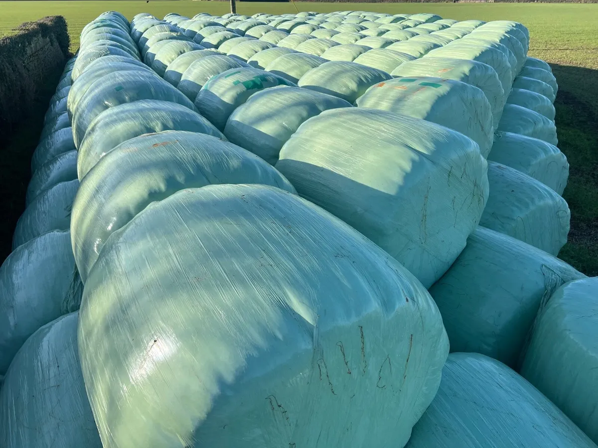 SILAGE - Image 1