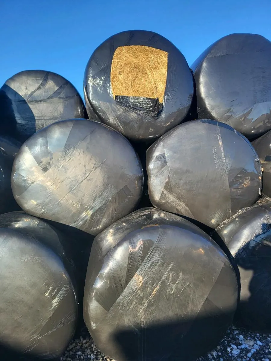 Super quality haylge weed free - Image 3