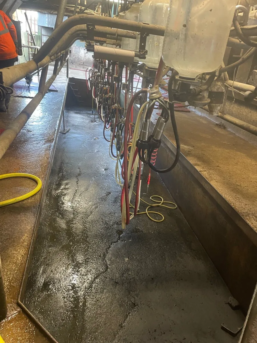12 unit Milking Parlour - Image 3