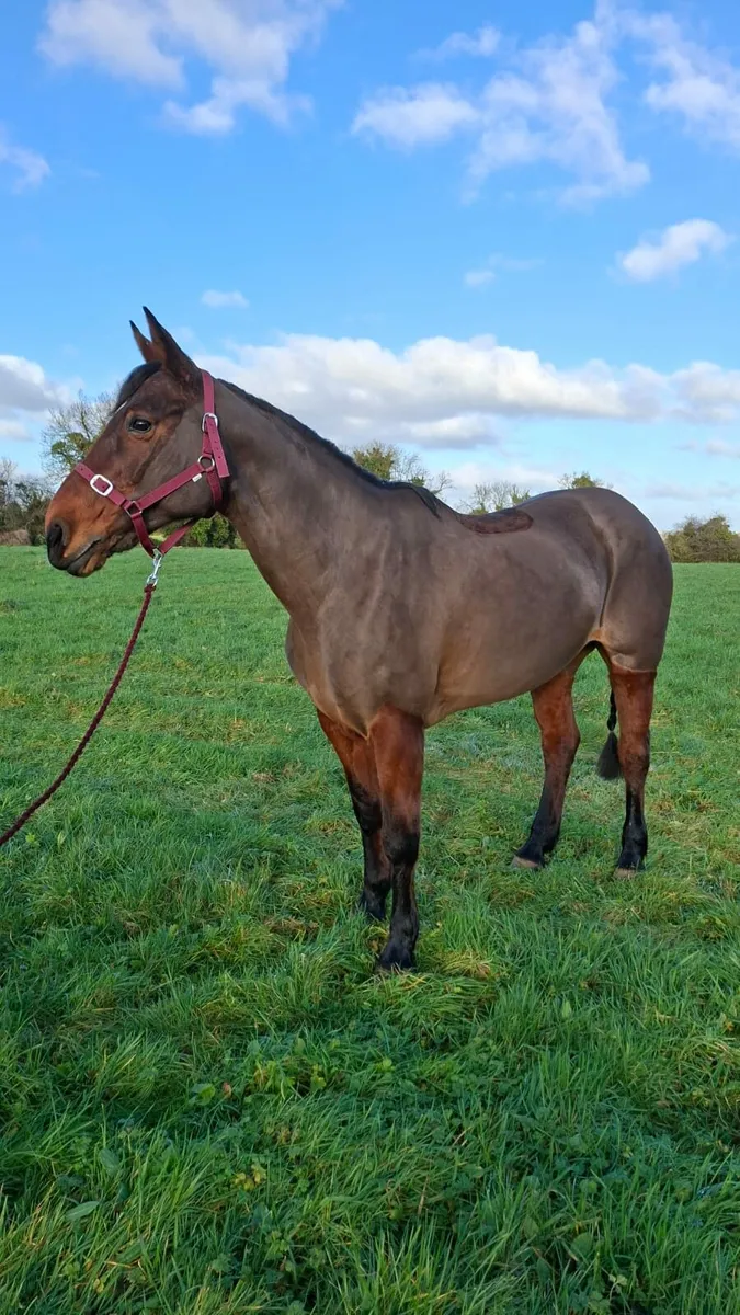 Hunting Machine - Image 1