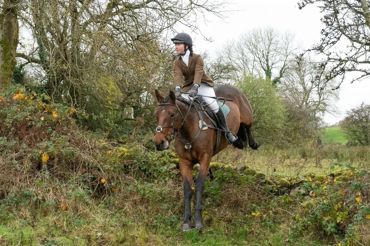 Hunting Machine - Image 2