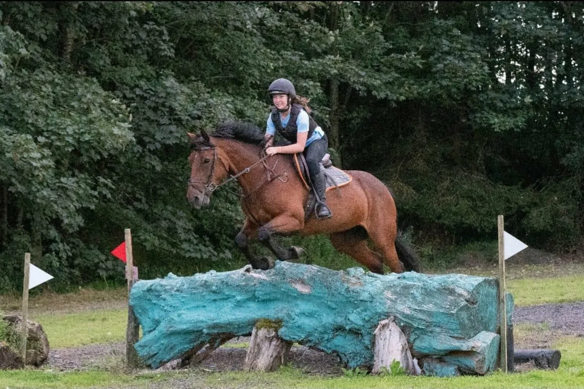 Hunting Machine - Image 4