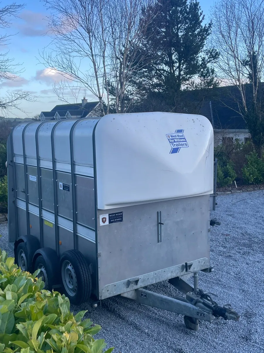 Ifer Williams trailer - Image 1