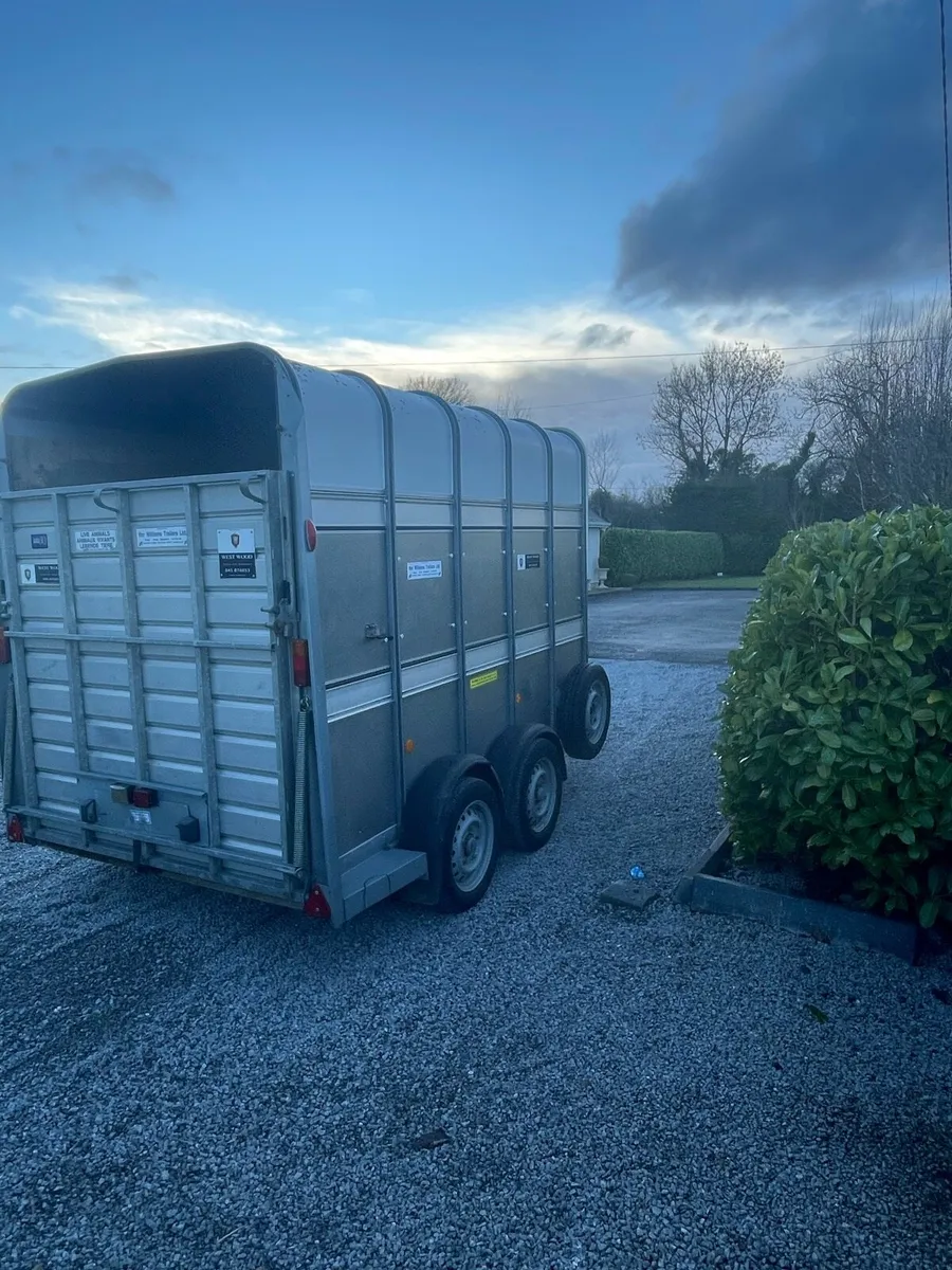 Ifer Williams trailer - Image 2