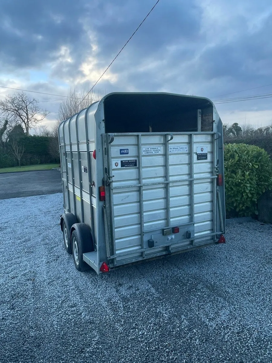 Ifer Williams trailer - Image 3