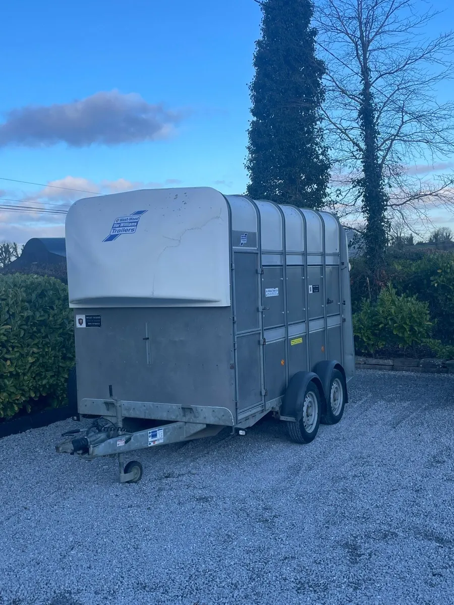 Ifer Williams trailer - Image 4