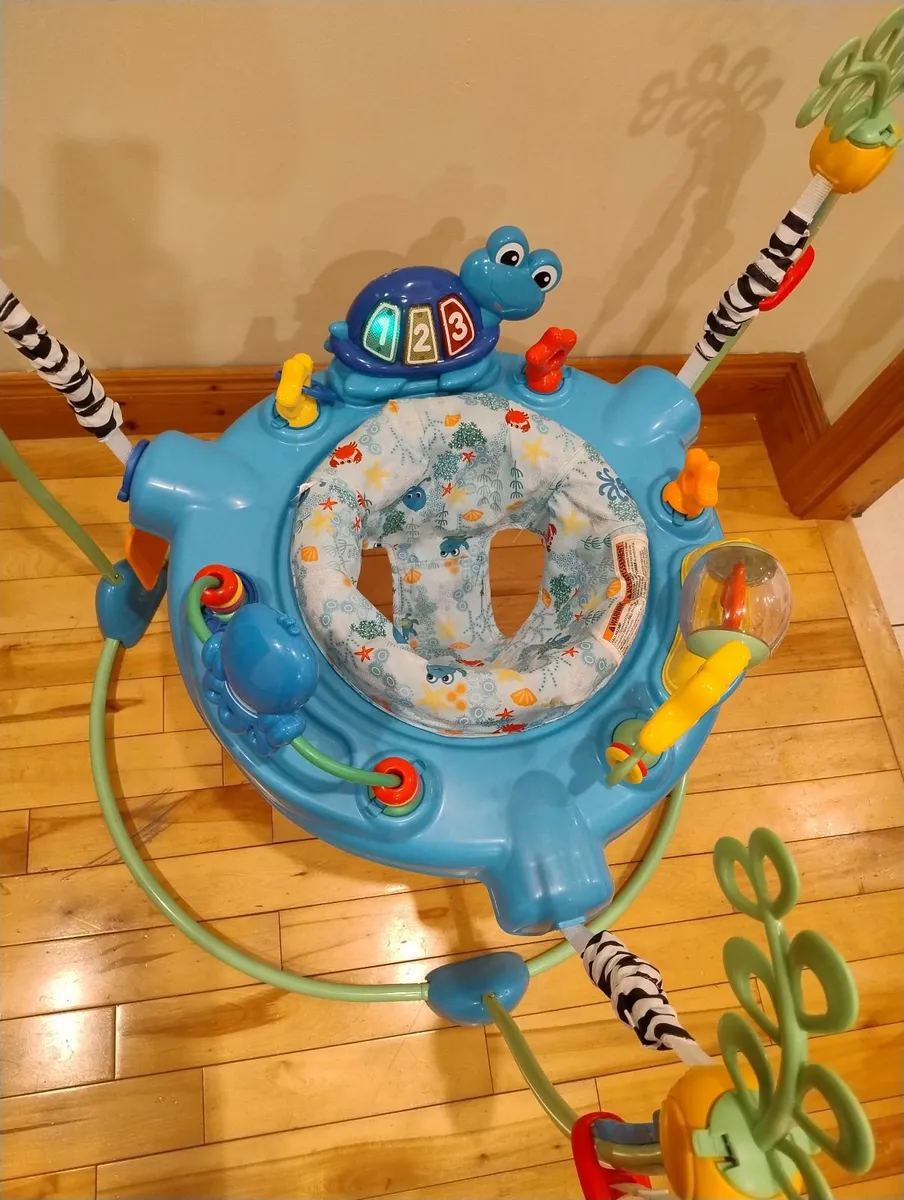 Baby Einstein Ocean Explorer Jumper - Image 3