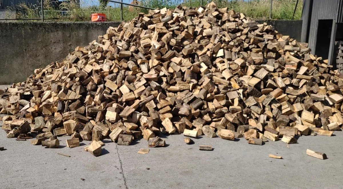 Ash Firewood Hardwood - Image 1