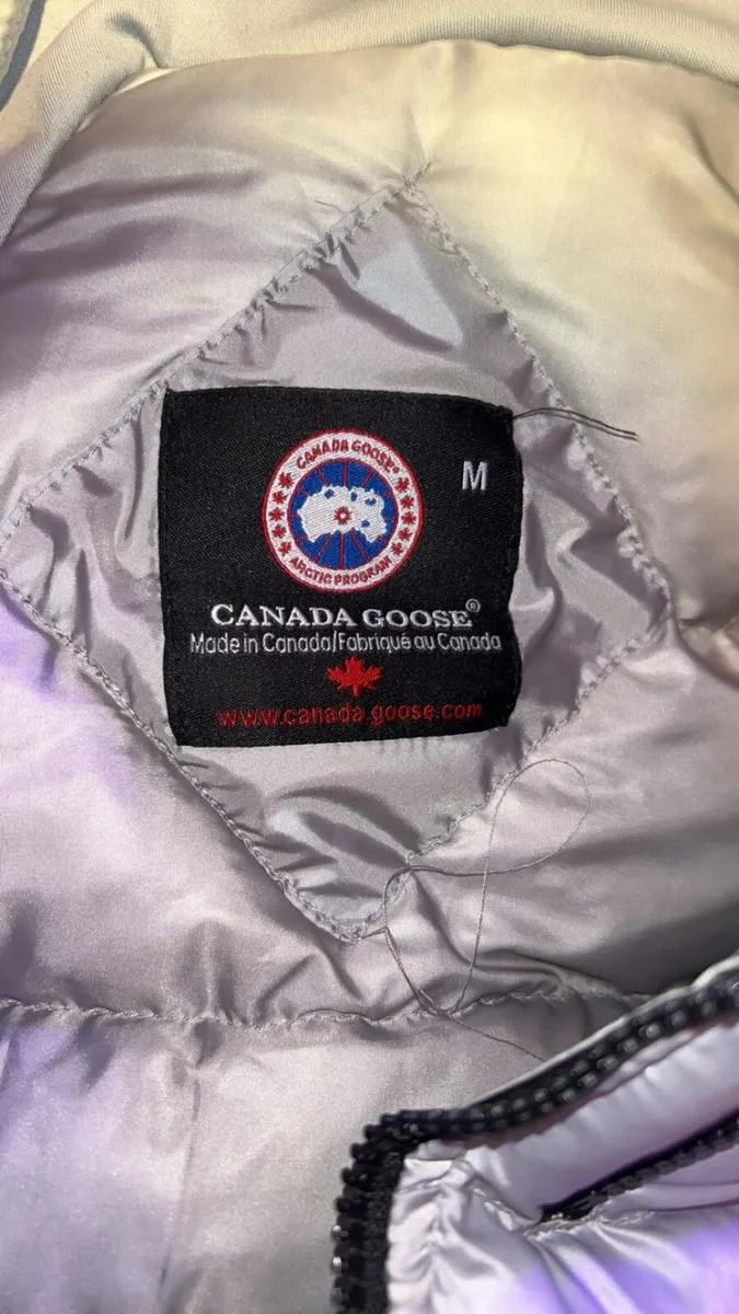 grey canada goose hybridge - Image 4