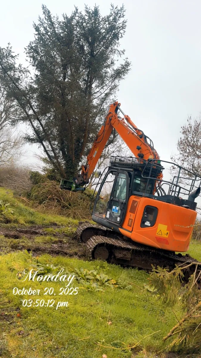 Site clearance / tree removals - Image 2