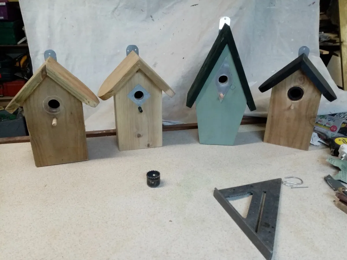 bird boxes - Image 2