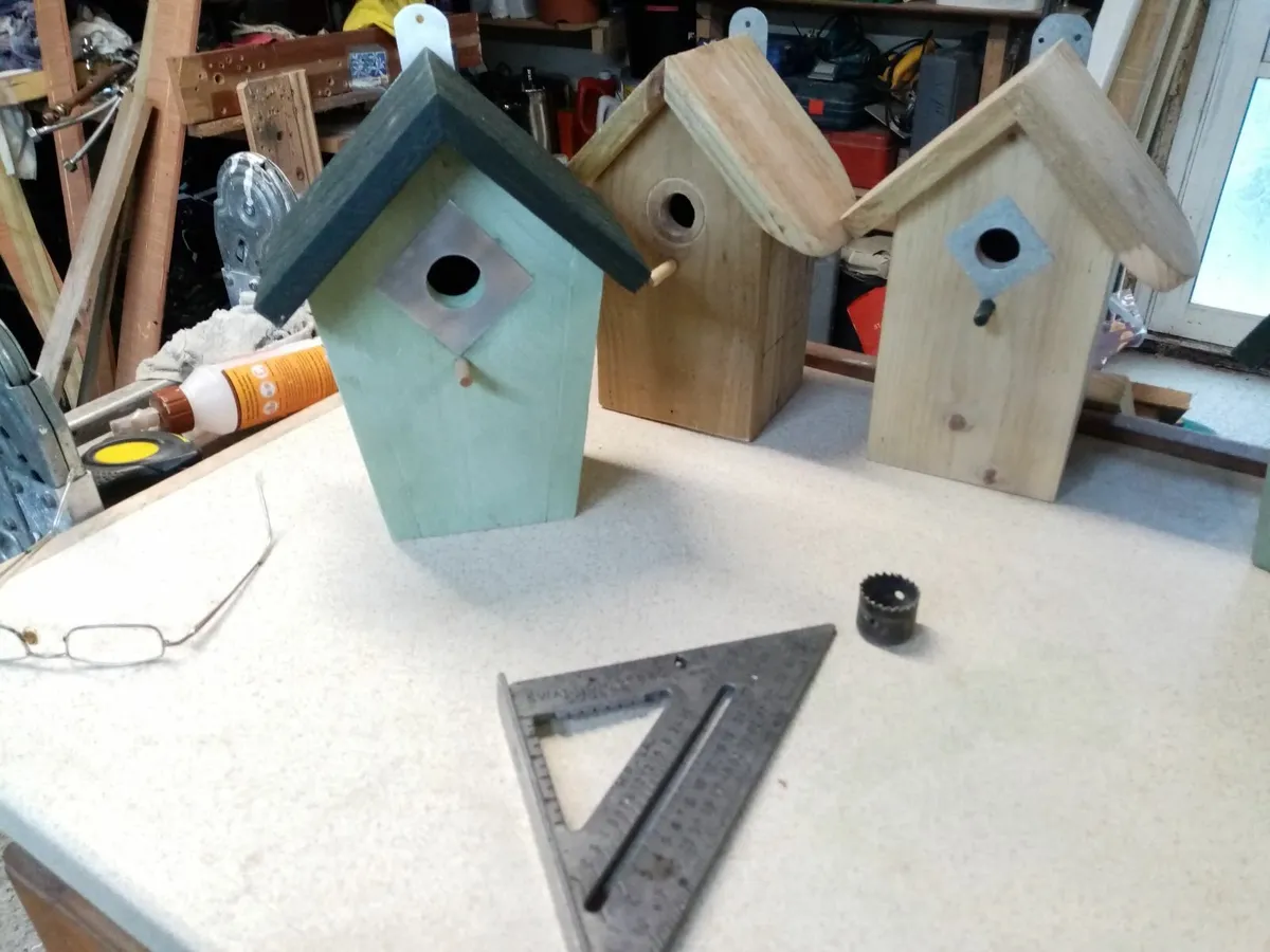 bird boxes - Image 3