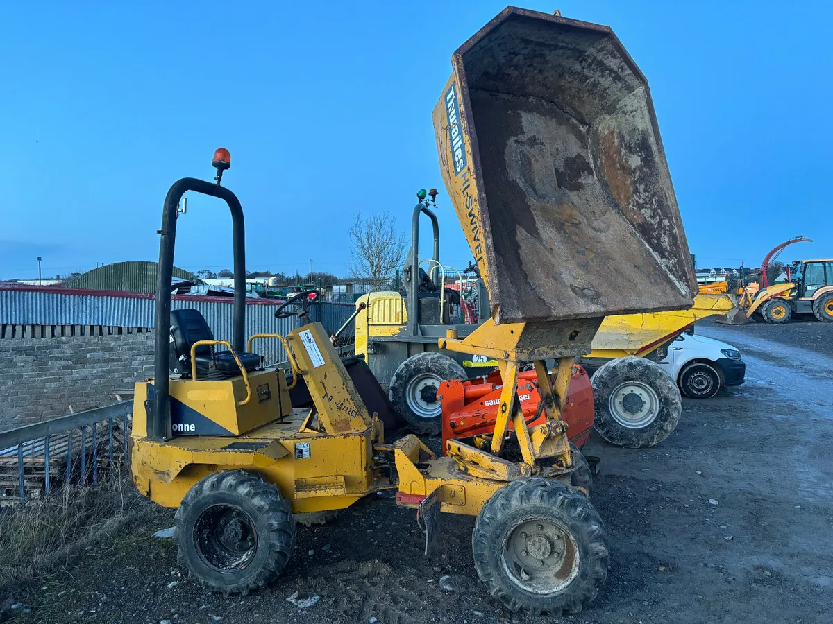 Portlaoise Auction Yard is Full - Image 2