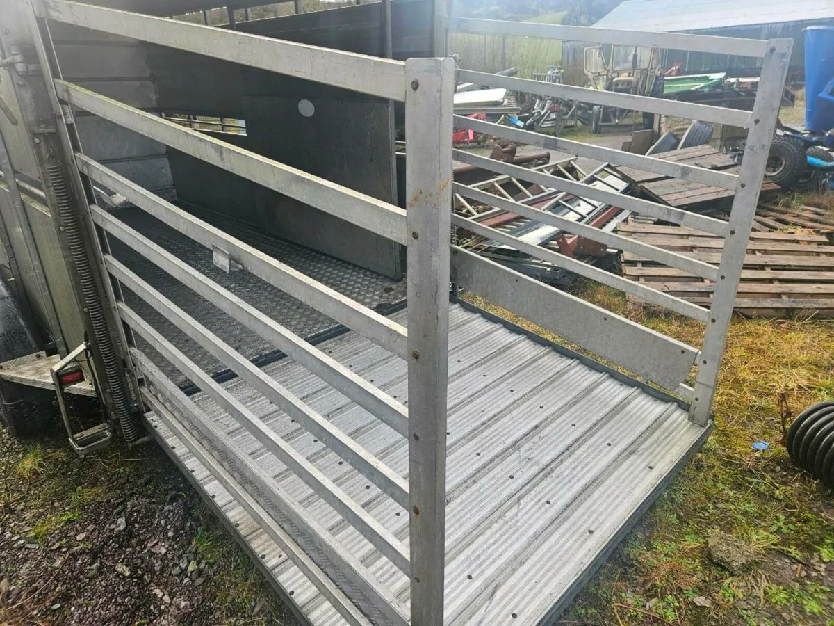 Hudson 12 x6  cattle box - Image 4