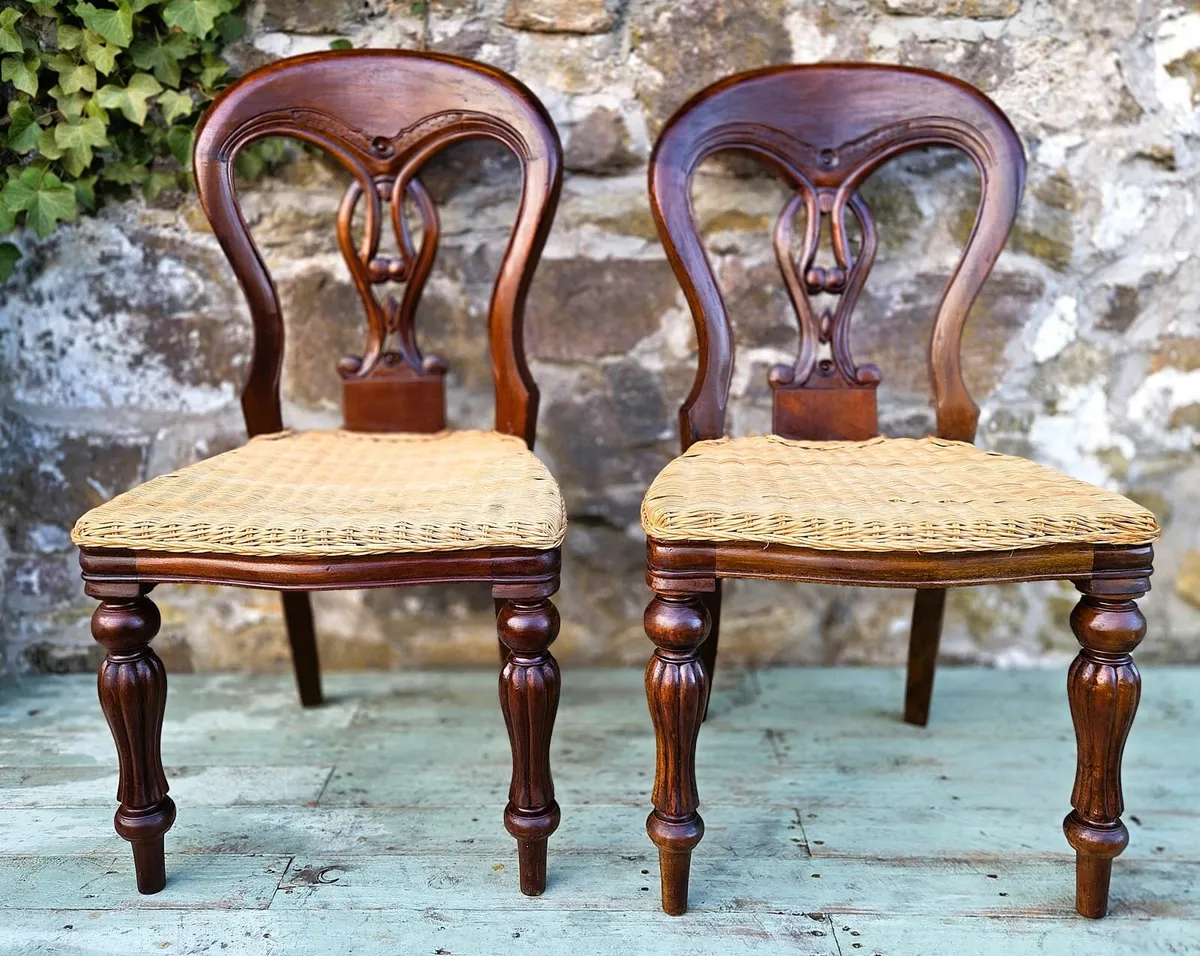Pair of Mahogany Balloon Back Chairs - Image 2
