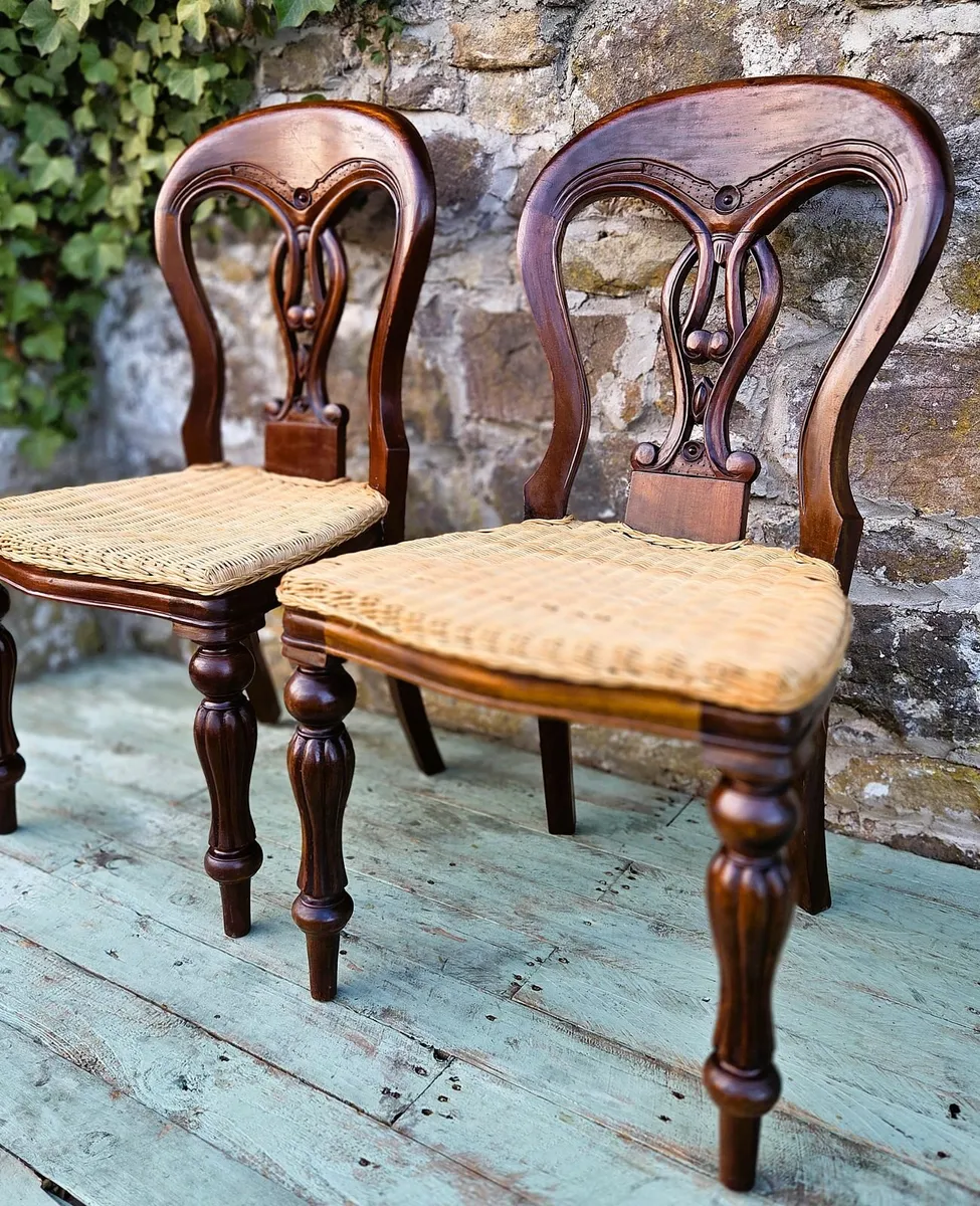Pair of Mahogany Balloon Back Chairs - Image 4