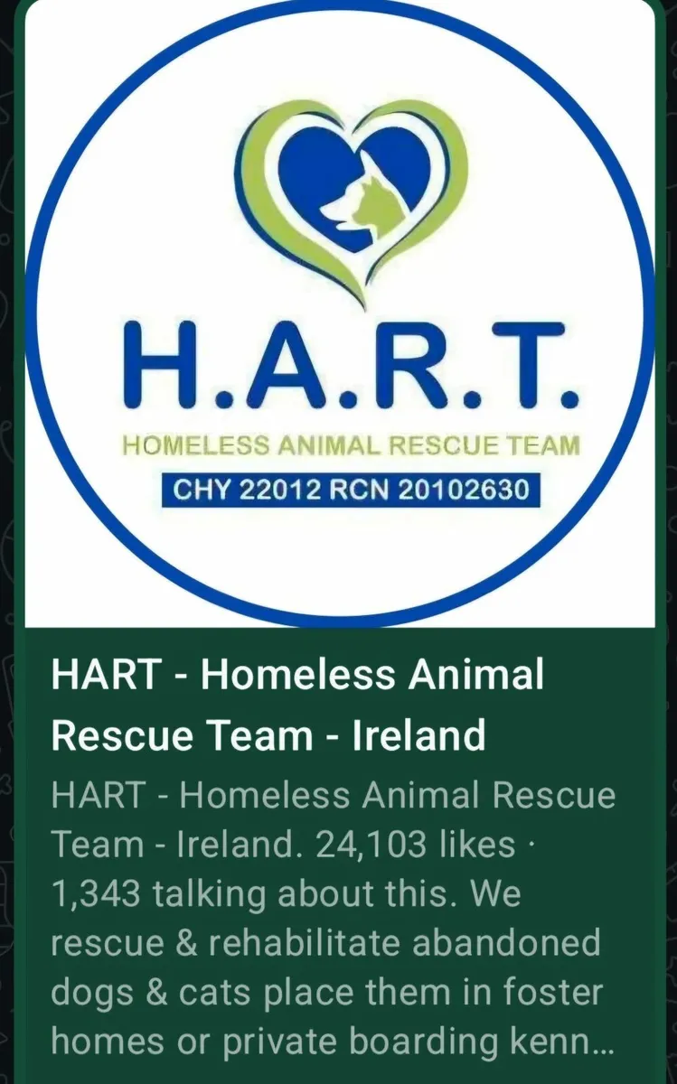 Adopted - Thanks! - Image 4