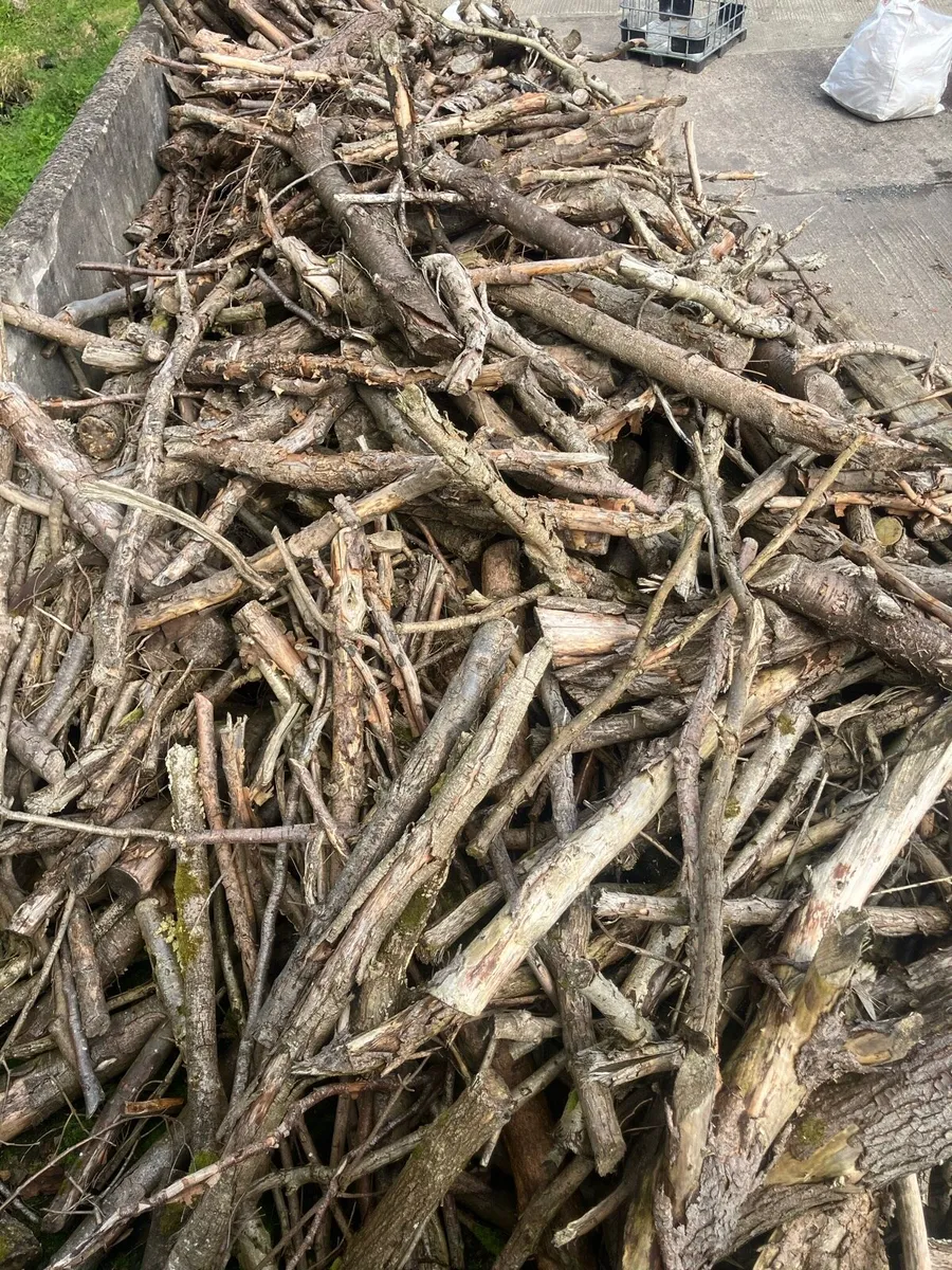Seasoned Firewood - Image 2