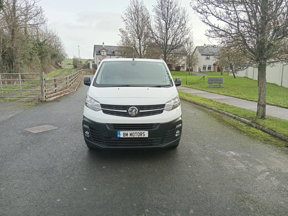 VIVARO NEW TEST & TAX MINT - Image 3