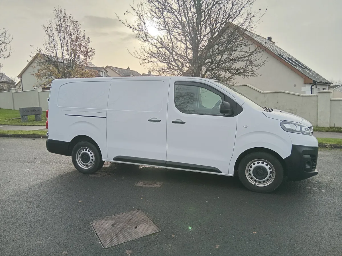 VIVARO NEW TEST & TAX MINT - Image 1