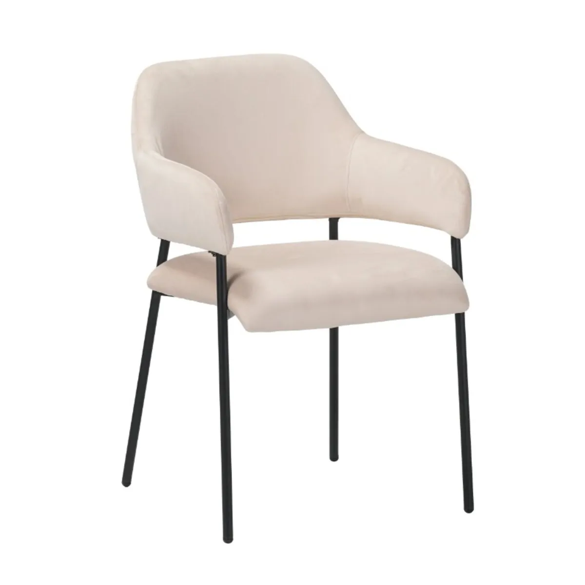 Main picture dining chair 3 colours 99€ - Image 1