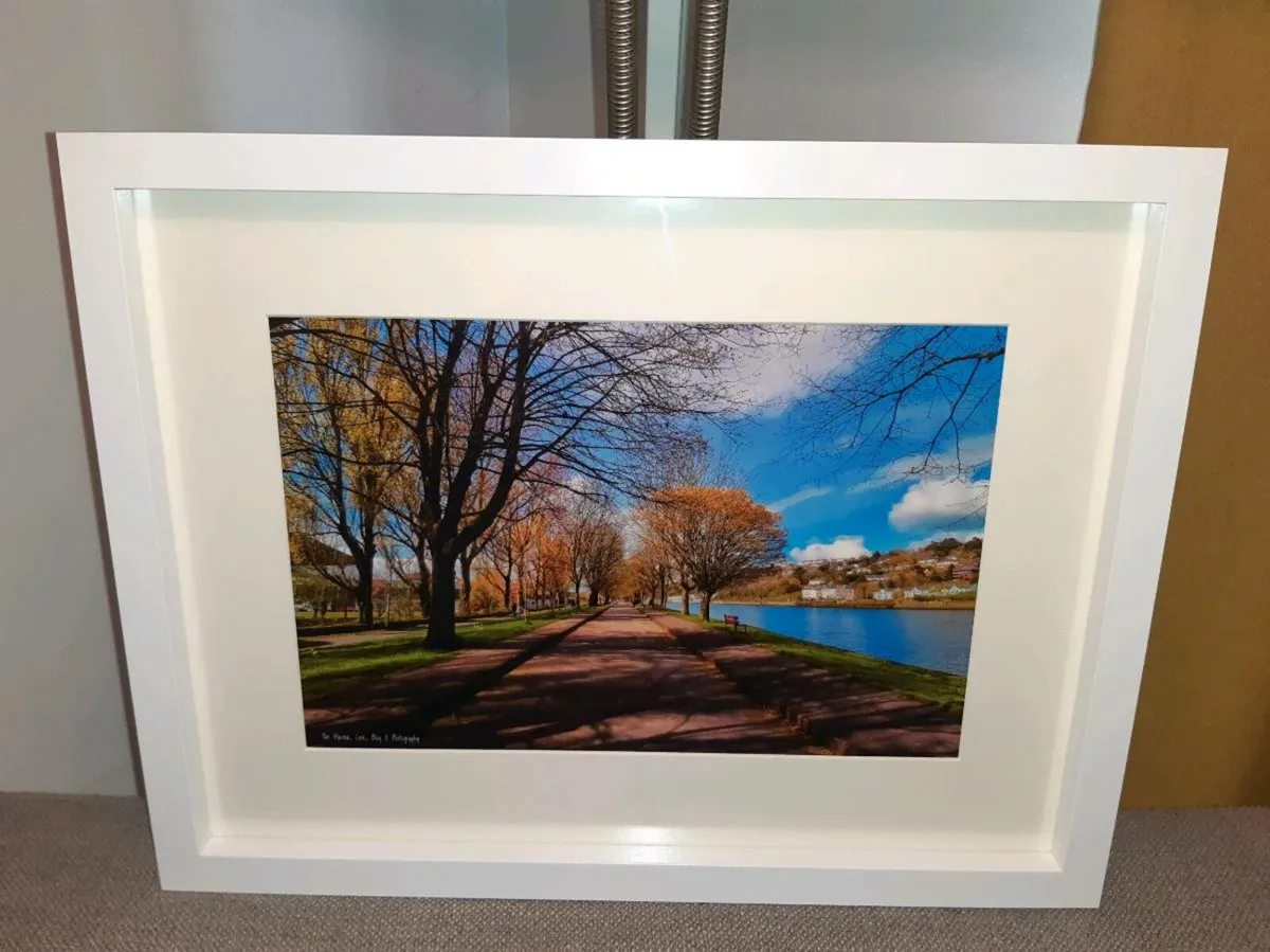 The Marina, Cork - Image 3