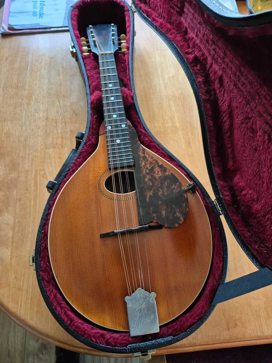 Mandolin - Image 3