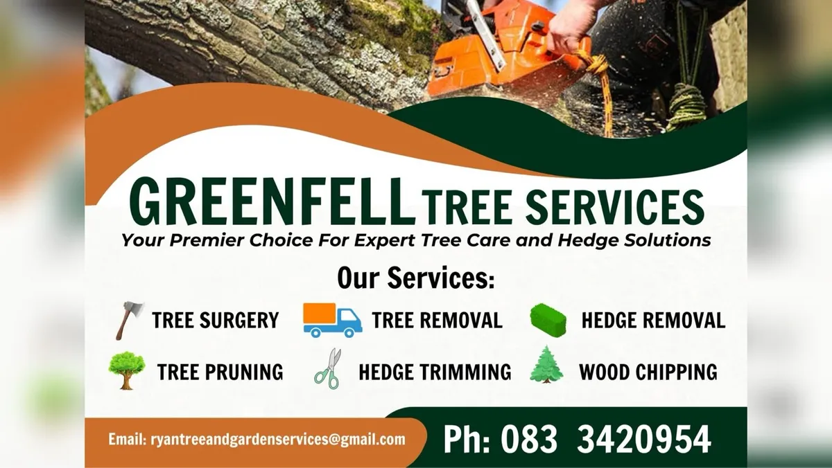 Tree surgery tree felling - Image 2