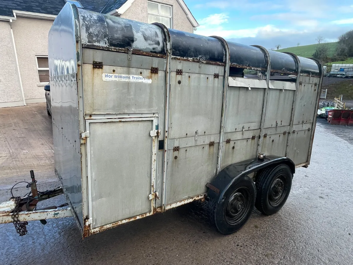 Ifor Williams 12ft x 5ft cattle trailer - Image 2