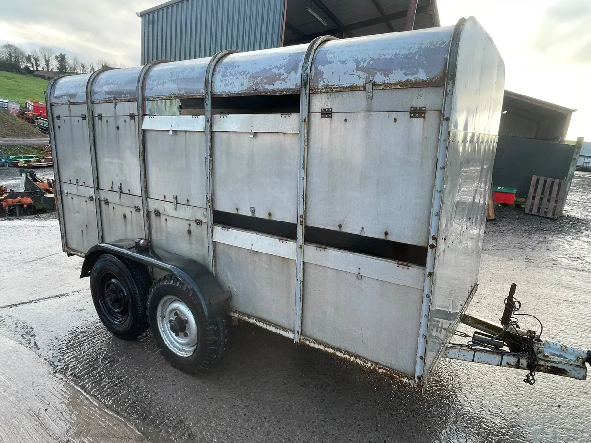 Ifor Williams 12ft x 5ft cattle trailer - Image 1