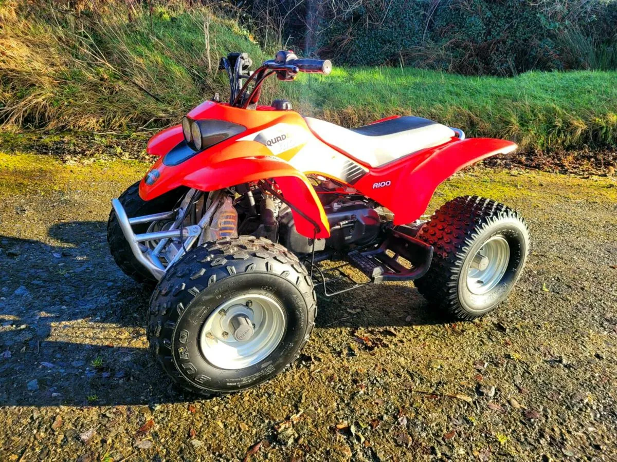 Quadzilla r100 - Image 2