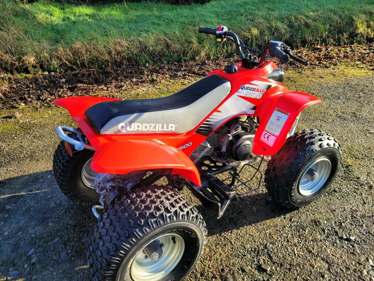 Quadzilla r100 - Image 4