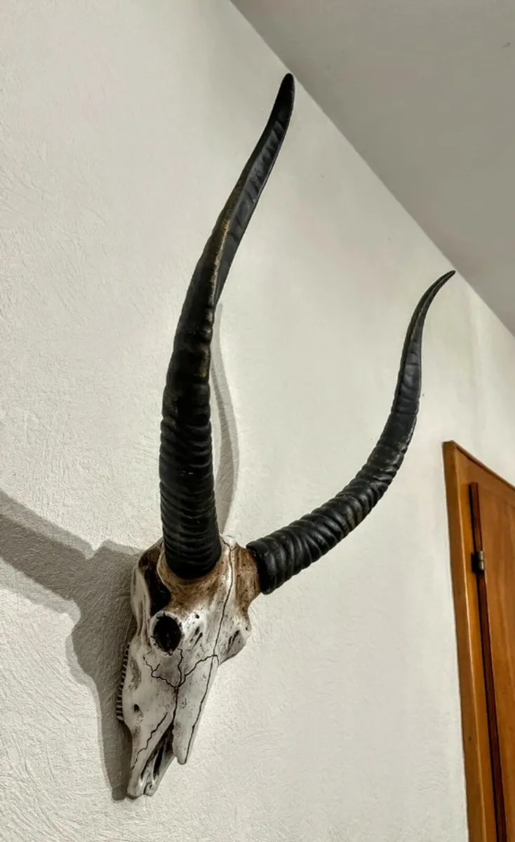 Stunning Antelope wall decor - Image 1