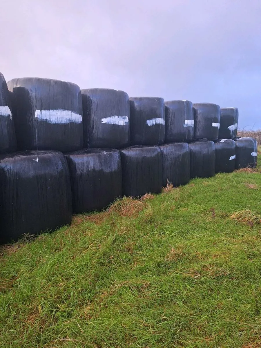 Silage - Image 1